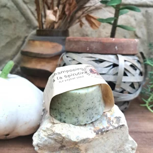 Shampooing à la Spiruline