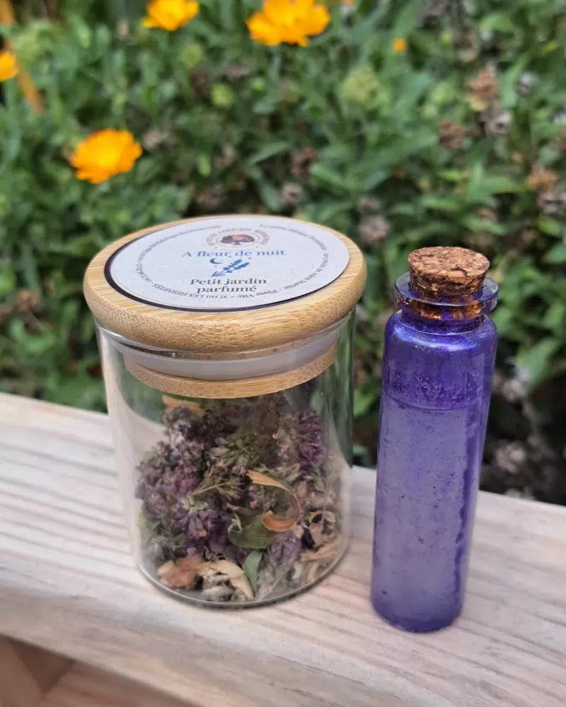 Petit jardin parfumé "A Fleur de Nuit"
