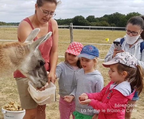 berengere-ferme-le-brulon Bérangère et des enfants nourrissant un animal